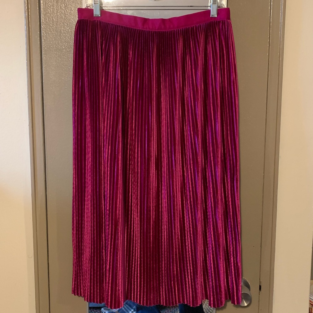 ZARA Trafaluc skirt